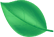 service kitchen cleaning leaf.png